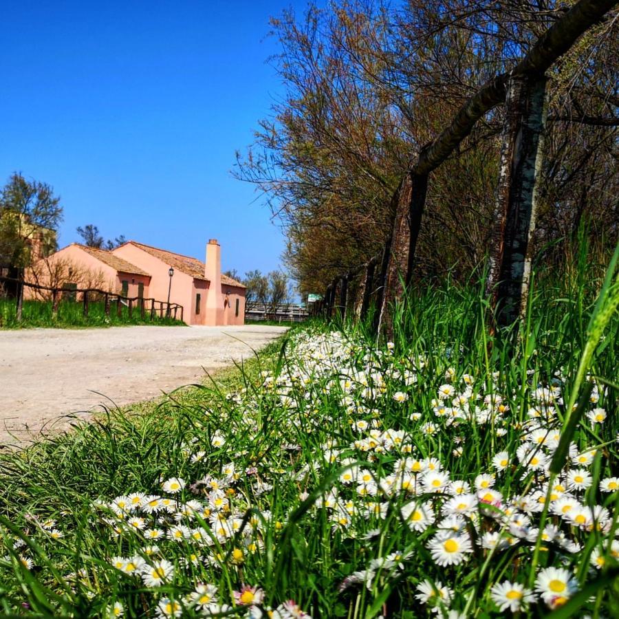 Residenza La Gallinella โคมัคคิโอ ภายนอก รูปภาพ