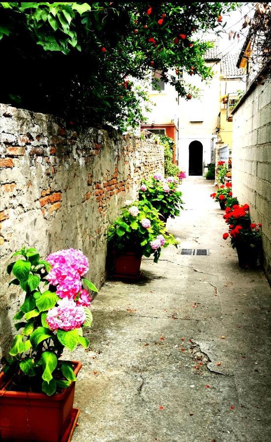 Residenza La Gallinella โคมัคคิโอ ภายนอก รูปภาพ